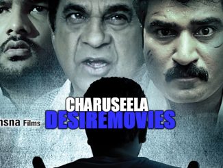 Charuseela (2016) 720p HEVC Hindi HDRip AAC x265 600MB