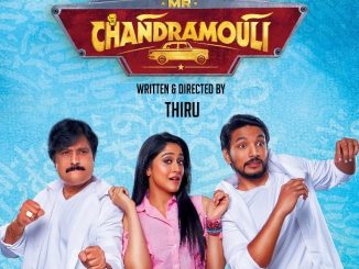 Mr. Chandramouli (Dashing Khiladi) (2018) Hindi 720p HEVC HDRip x265 AAC DD 2.0 –  550 MB