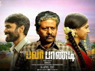 Pa Paandi (2017) 720p UNCUT HEVC HDRip x265 Eng Subs [Dual Audio] [Hindi – Tamil] – 600 MB