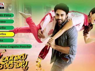 Bangaaru KodiPetta (Love & Live) (2014) 720p HIndi HEVC WEB-HDrip x265 – 500 MB