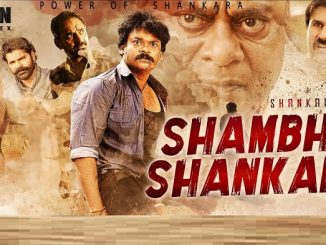 Shambho Shankara (2018) Hindi 720p HEVC HDRip x265 AAC DD 2.0 – 590 MB