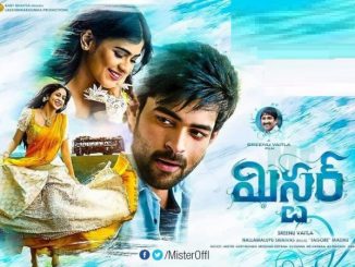 Mister (2017) Hindi 720p HEVC WEB-HDRip x265 AAC DD 2.0 – 650 MB