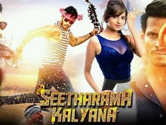 Seetharama Kalyana (2018) UNCUT 720p HEVC HDRip x265 [Dual Audio] [Hindi – Kannada] – 700 MB