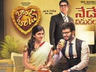 Brand Babu (2018) Hindi 720p HEVC HDRip x265 AAC DD 2.0 – 600 MB