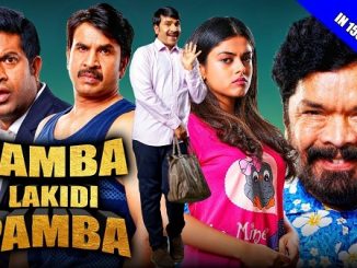 Jamba Lakidi Pamba (2018) Hindi 720p HEVC HDRip x265 AAC DD 2.0 Esubs – 600 MB