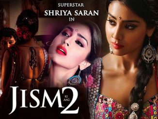 Pavitra (Jism 2) (2013) 720p HEVC HDRip x265 AAC DD 2.0 – 500 MB