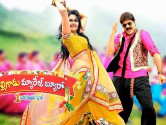 Malligadu Marriage Bureau (2014) Hindi 720p HEVC HDRip x265 AAC DD 2.0 – 600 MB