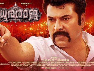 Madhuraraja (2019) UNCUT 720p HEVC WEB-HDRip x265 [Dual Audio] [Hindi – Malayalam] – 700 MB