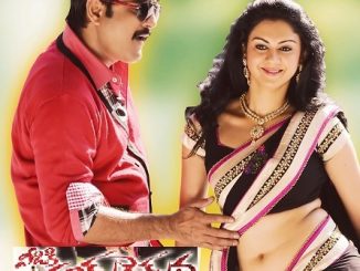 Veediki Dookudekkuva (2015) Hindi 720p HEVC HDRip x264 AAC DD 2.0 -600MB