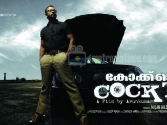 Cocktail (2010) Hindi 720p HEVC HDRip x265 AAC DD 2.0 – 450 MB