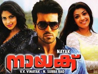 Naayak (Double Attack) (2013) UNCUT 720p HEVC BluRay x265 Esubs [Dual Audio] [Hindi – Telugu] – 800 MB