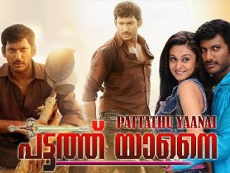 Pattathu Yaanai (2013) UNCUT 720p HEVC WEB-HDRip x265 [Dual Audio] [Hindi – Tamil] – 780 MB