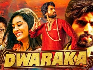 Dwaraka (2017) Hindi 720p HEVC HDRip x265 AAC DD 2.0 – 550 MB