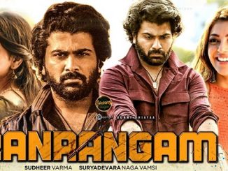 Ranarangam (2019) UNCUT 720p HEVC WEB-HDRip x265 Esubs [Dual Audio] [Hindi ORG – Telugu] – 700 MB