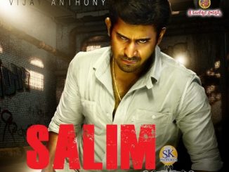 Salim (2014) Hindi 720p HEVC WEB-HDRip x265 AAC DD 2.0 – 600 MB