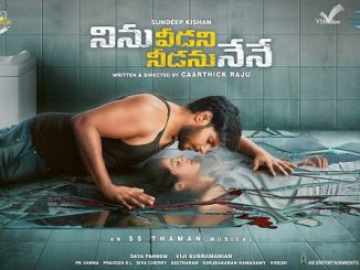 Ninu Veedani Needanu Nene (2019) 720p HEVC WEB-HDRip x265 Esubs [Dual Audio] [Hindi ORG – Telugu] – 650 MB